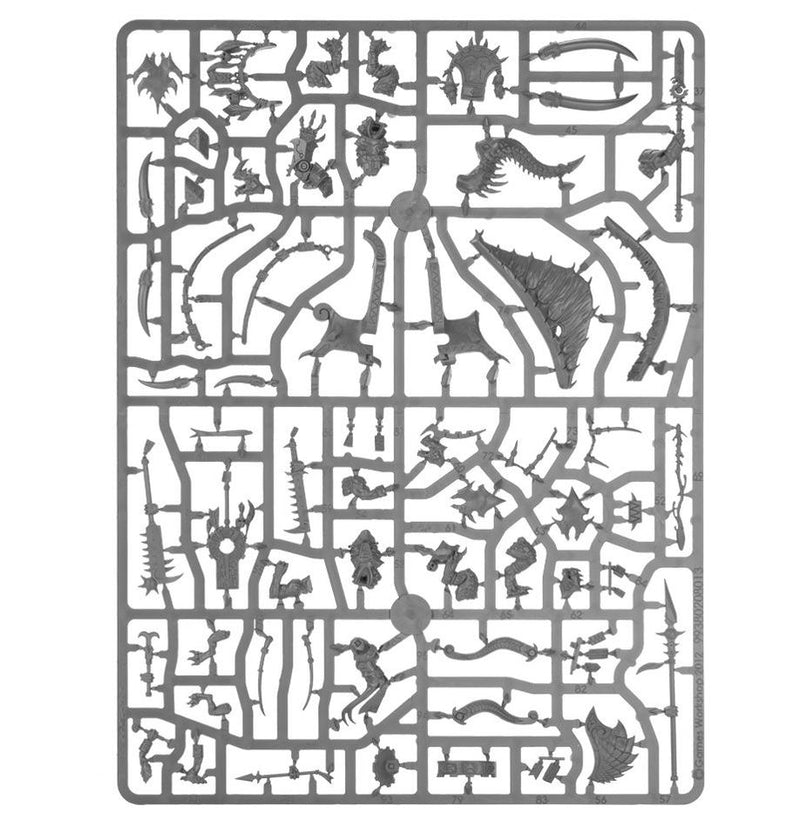 Warhammer Age of Sigmar Spearhead: Seraphon