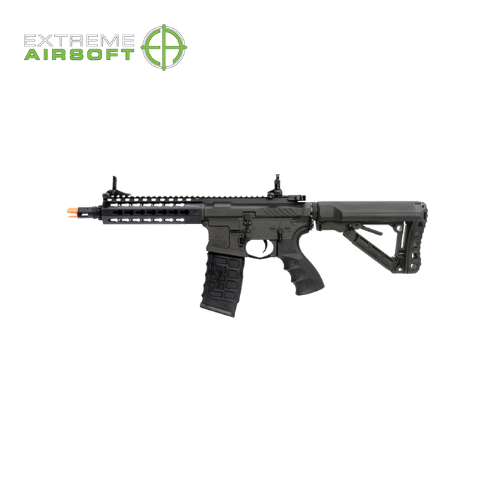 G&G CM16 SRS