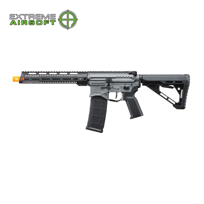 Zion Arms R15 Mod 0 Long Rail Airsoft Rifle with Delta Stock